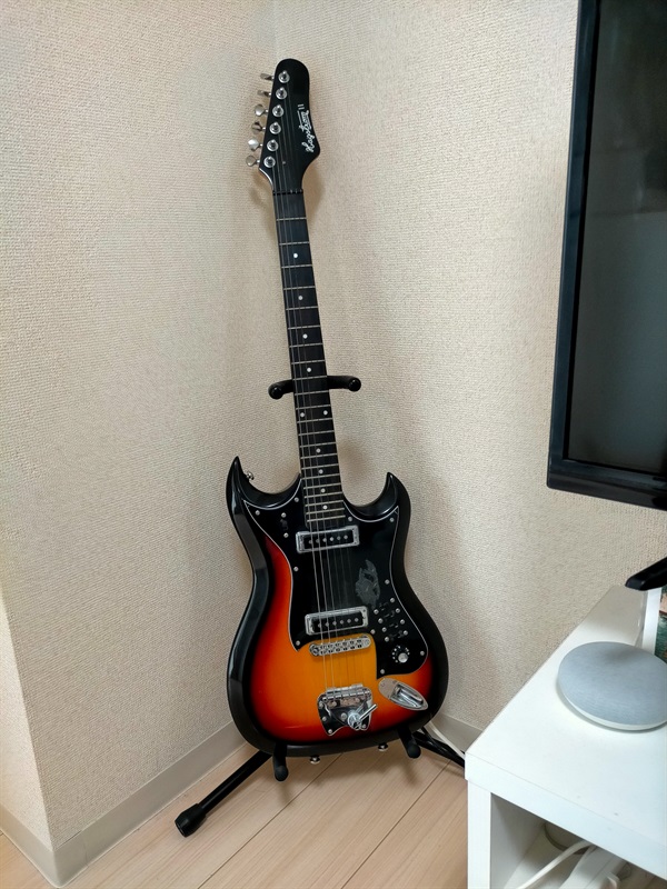 Hagstrom Retroscape H-IIの画像